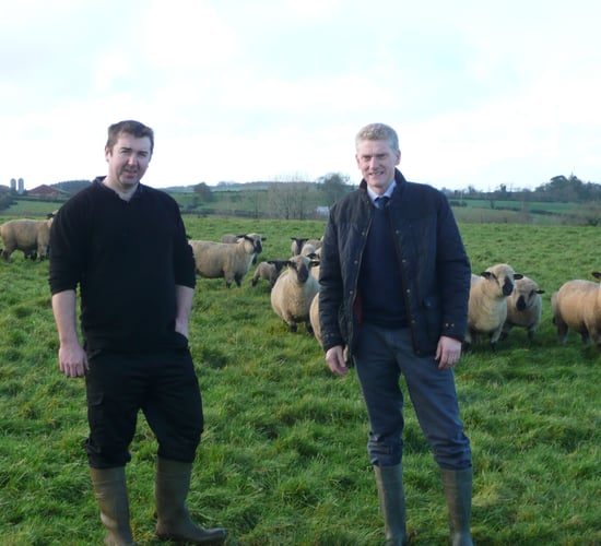 Lambing gets off to a great start