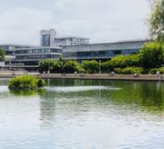 UCD in world top 100 universities for agriculture and forestry