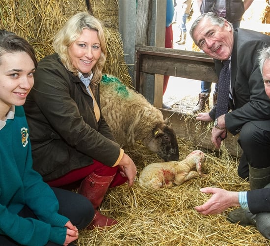 2,000 students take to the fields as new syllabus welcomed