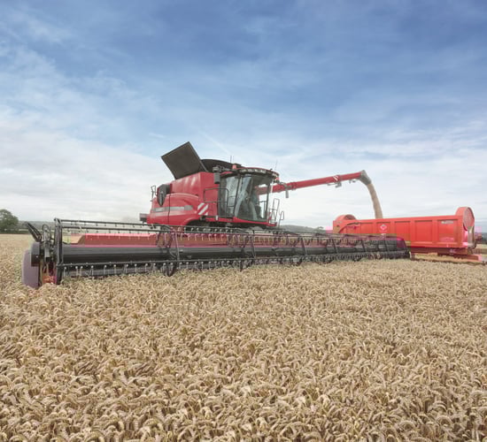 Opportunities for cereal sector outlined