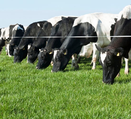 Ireland likely to end the year less than 1% over quota – Minister