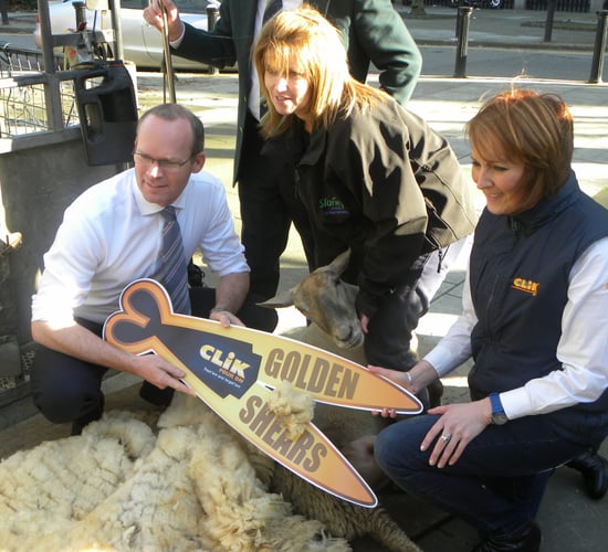 International teams signed up for sheep shearing