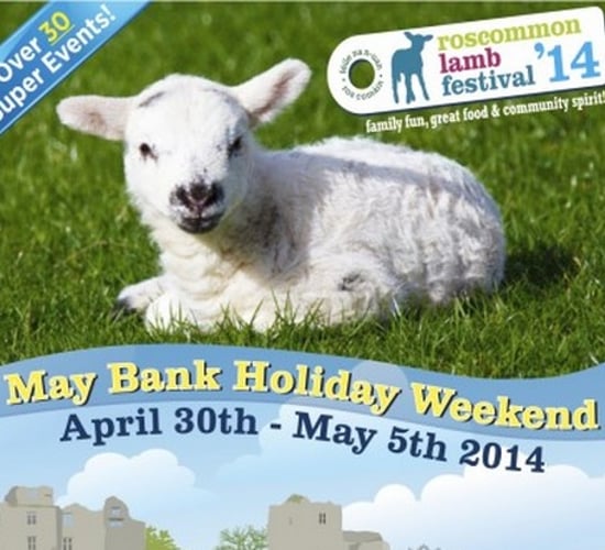 Roscommon sheep dog trials