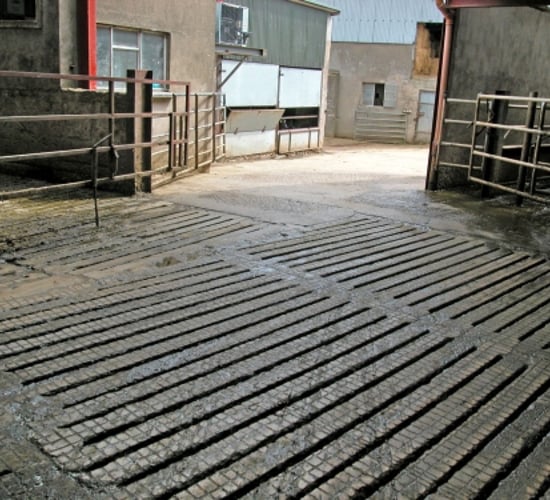 Current TAMS II situation increasing farmers stress levels - Macra