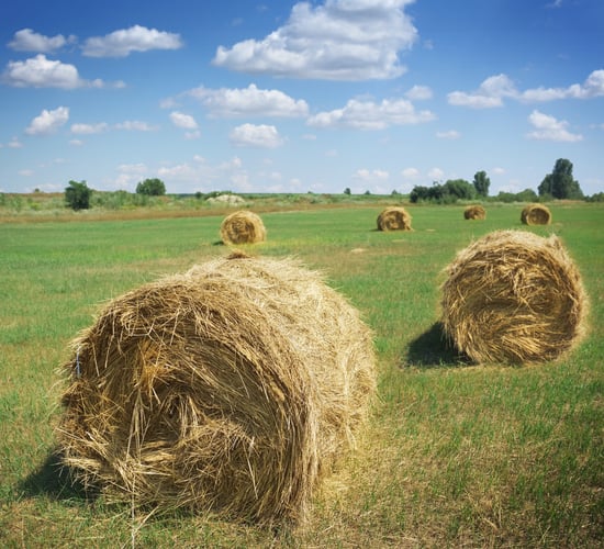 New farm partnership register set to be signed off by mid-summer