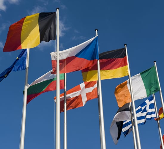 MEPs welcome pledge on reform CAP reform