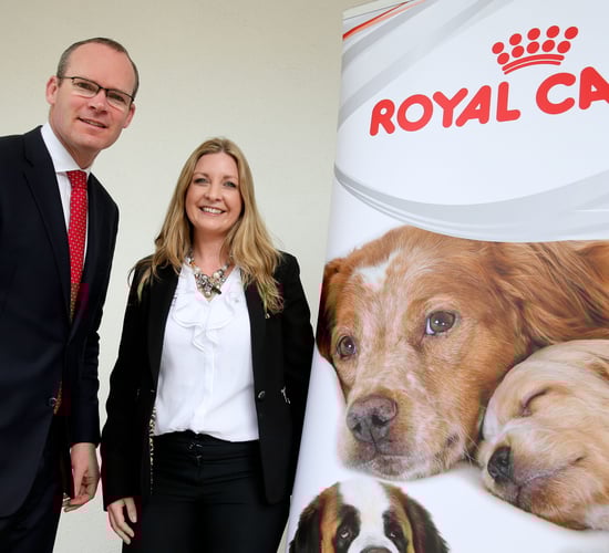 Welfare legislation gives more power to authorities, and fines of €250,000