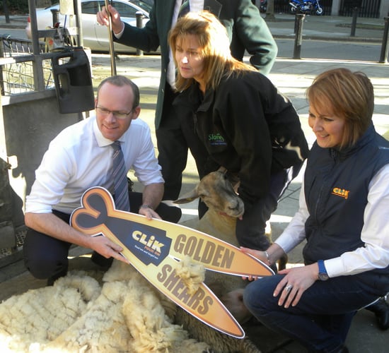 Traditional skills of hand shearing will be highlight of world championships in Gorey