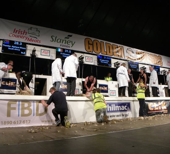 Whats on at Golden Shears: DAY 4