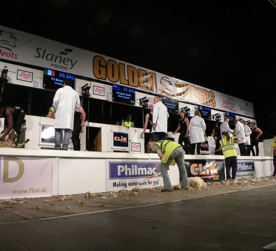 What's on at Golden Shears: DAY 2