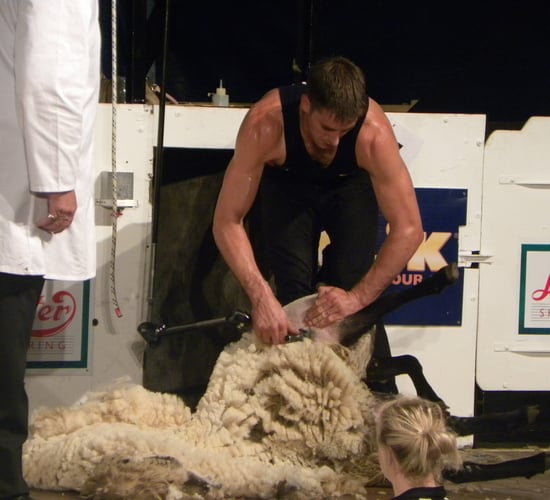 Whats on at Golden Shears: DAY 3