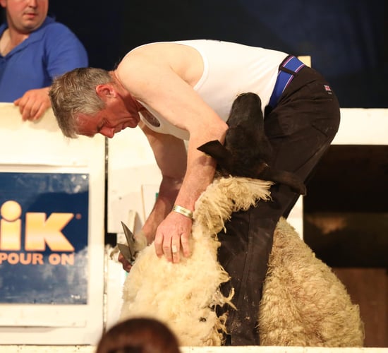 Five countries win World titles at Golden Shears