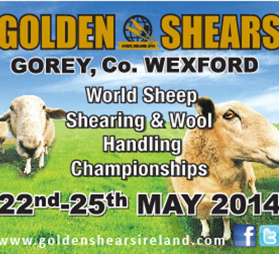 Good food for Golden Shears