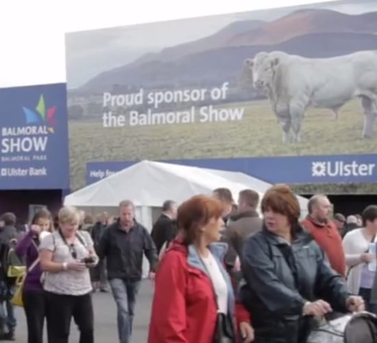 Spotlight on Balmoral Show