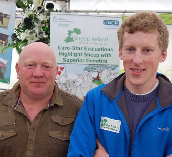 €uro Star ram ratings are making a difference