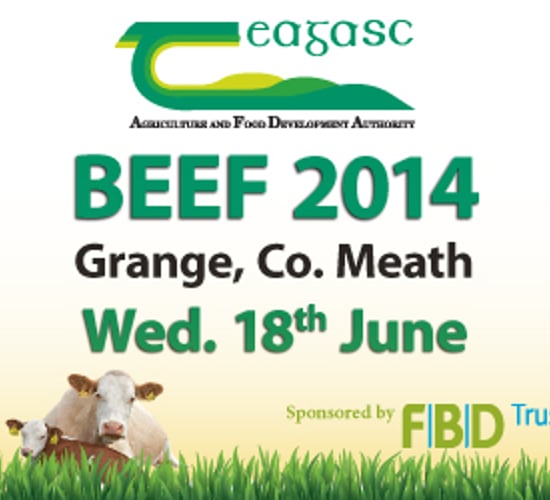 Up to 5,000 expected to attend Beef 2014