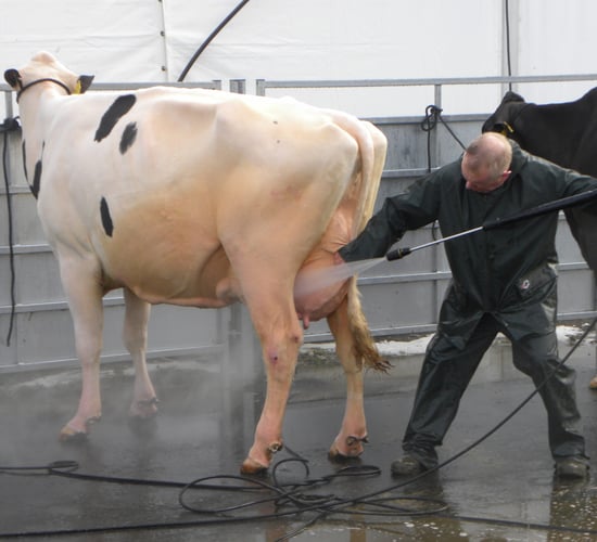 Balmoral picture parade