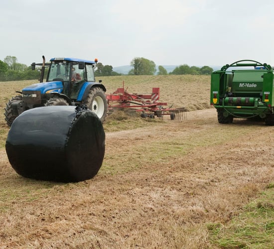 Surplus grass - What should you do with it?