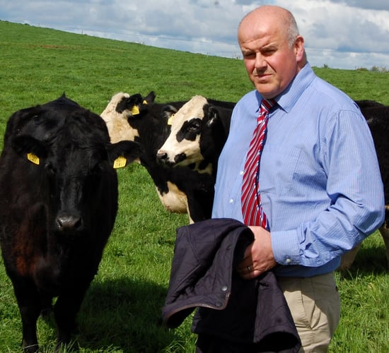 Grazed grass isn’t always the perfect feed