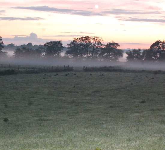 Yellow fog warning in place for parts of south and east
