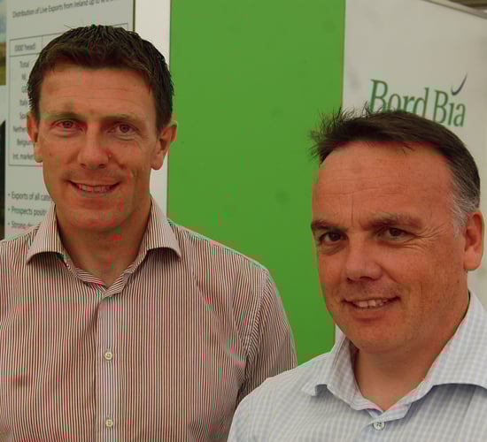 There is light at the end of the beef tunnel - Bord Bia