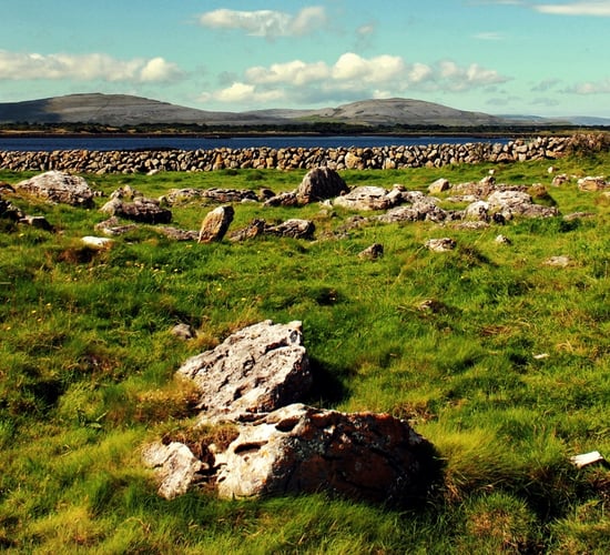 33,000 farmers lose out on €10 million over ineligible land