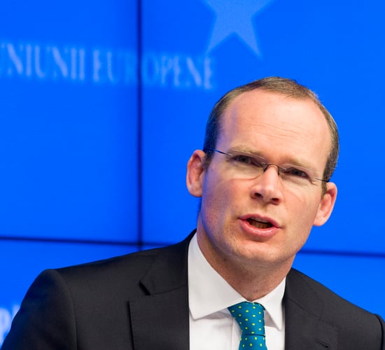 Agri-food sector entering critical and exciting time - Coveney
