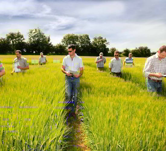 Huge interest in winter barley varieties at Seedtech open day