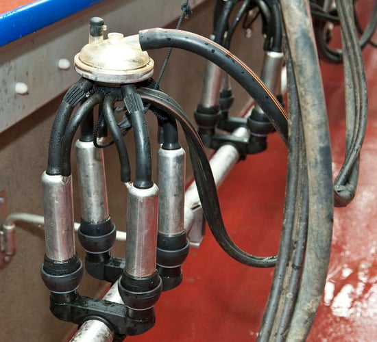 Is it time to change the liners in your parlour?