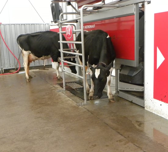 Farm investment on the rise