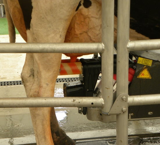 Robotic milking and feeding steal the show at Livestock Event