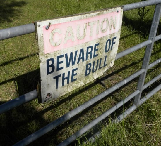 Cork farmers account for 13% of Farm Safety Scheme applications
