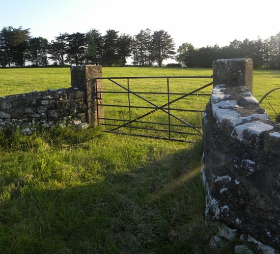 Efficient lamb production: 'Closing the gate could make you money'