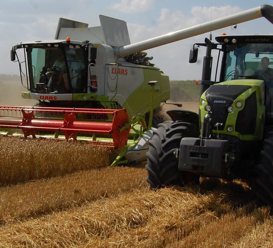 UK wheat harvest underway