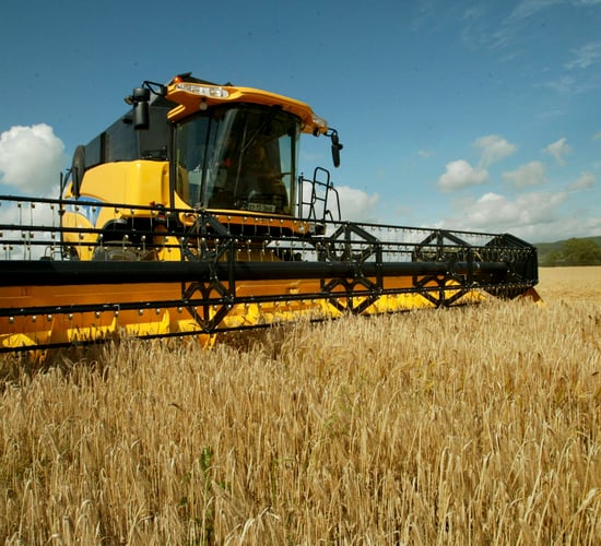 Video: Are you selecting the right winter barley varieties?