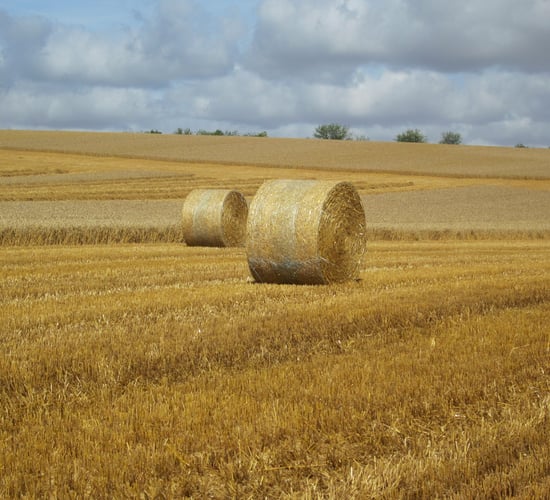 3 reasons why tillage farmers should attend this weeks Teagasc crops forum