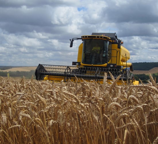 UK harvest 80% done, following 500,000ha push this week