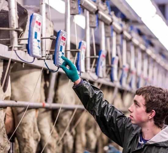 Applications now being accepted for the €17,500 dairy farm manager course