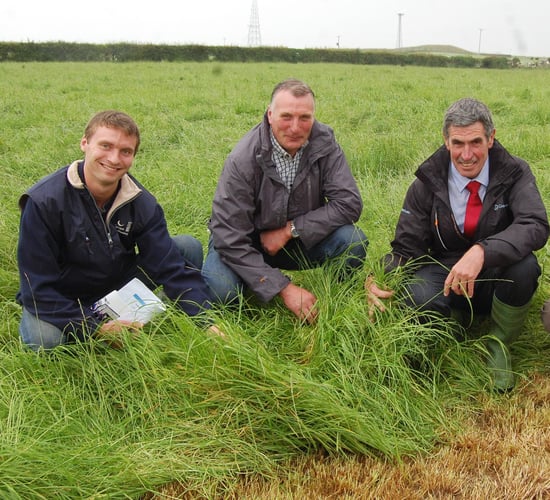Importance of good soil structure highlighted at open day