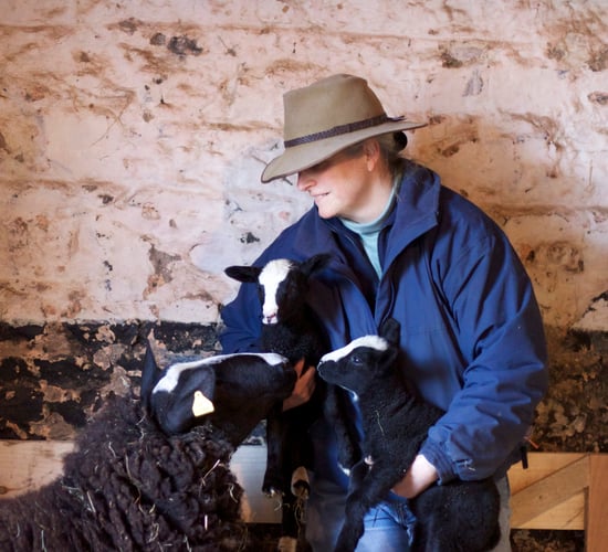 Irish farmers take to Twitter