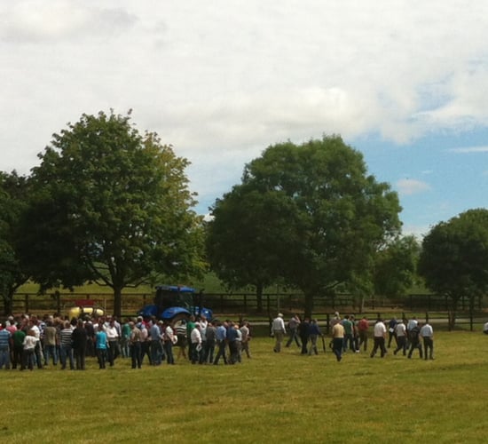 Large numbers attended Kildalton tillage open day