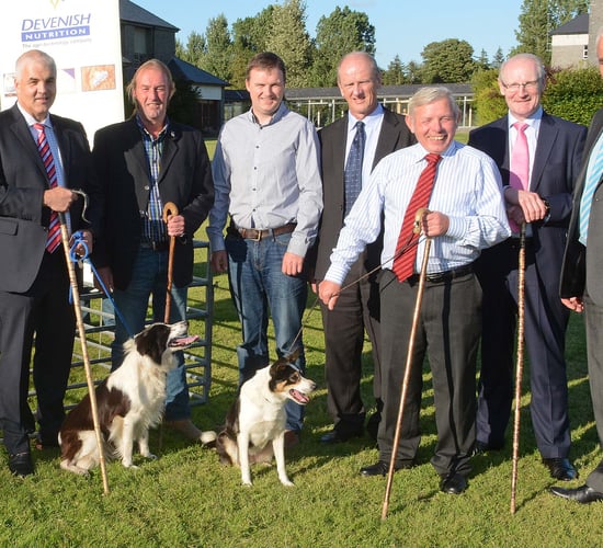International Sheepdog Trials launched 