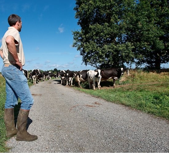 Minimum wage increase for agricultural workers announced in Northern Ireland