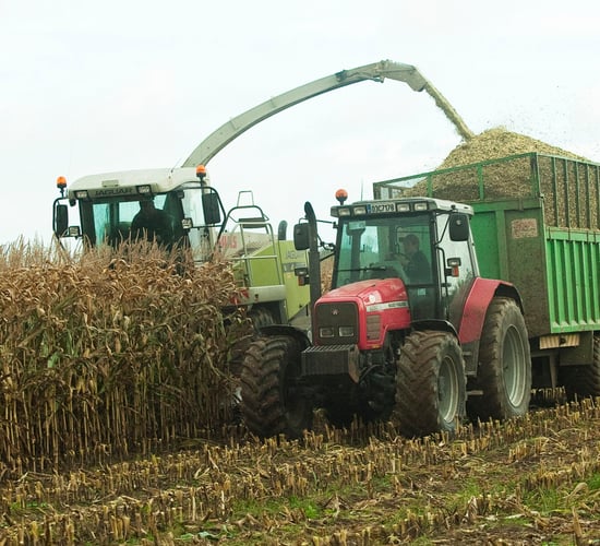Ireland decides not to seek GM national opt-out