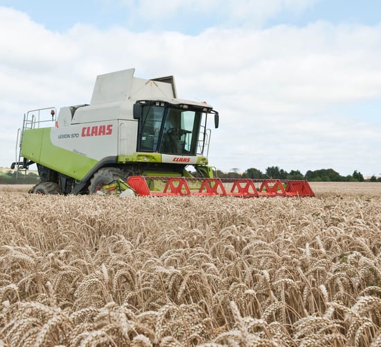 Record EU wheat crop of 152.9Mt forecast