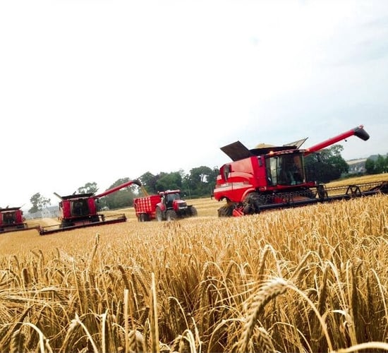 Industry must support growers to pull through difficult year
