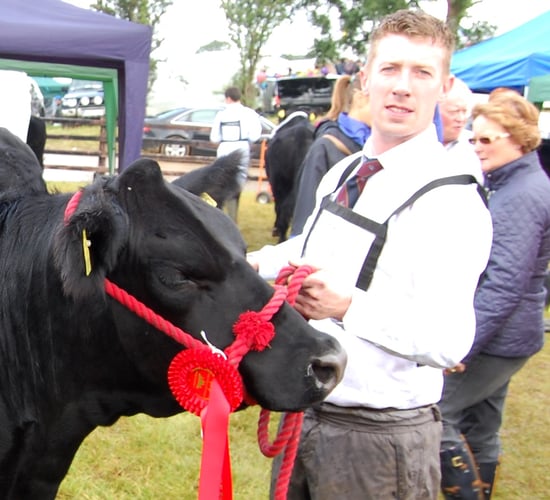 Tullamore Show - Commercial Cattle results