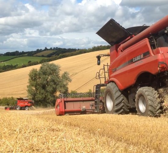All you need to know about the global harvest