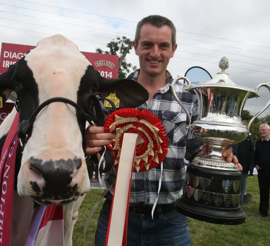 Trade stands at this year's Virginia Show are 'totally packed out'