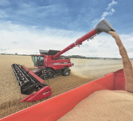 Support creeps into UK grain market